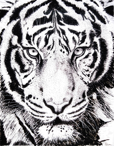 The piercing gaze of a tiger 绘画 标题为“The piercing gaze o…” 由Любовь Самойлова, 原创艺术品, 墨