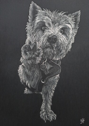 WEST HIGHLAND WHITE TERRIER - small drawing, original gift 图画 标题为“WEST HIGHLAND WHITE…” 由Alona Vakhmistrova, 原创艺术品, 铅笔