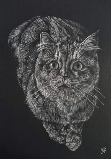CUTE CAT - small drawing, original gift, black 图画 标题为“CUTE CAT - small dr…” 由Alona Vakhmistrova, 原创艺术品, 铅笔