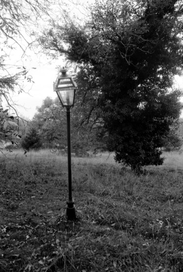 Solitude