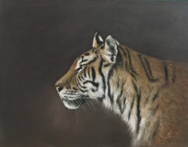 Tiger portrait 图画 标题为“Tiger portrait” 由Irene_art, 原创艺术品, 粉彩