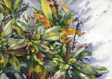 绘画 标题为“Rhododendron #06” 由Olga Bezlepkina, 原创艺术品, 水彩