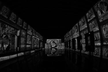 Fotografie getiteld "21 juillet 1969" door Olivier Barau, Origineel Kunstwerk, Digitale fotografie