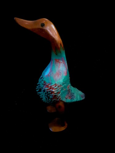 Fotografie getiteld "Turquoise Eend" door Henk Dekkers, Origineel Kunstwerk, Digitale fotografie