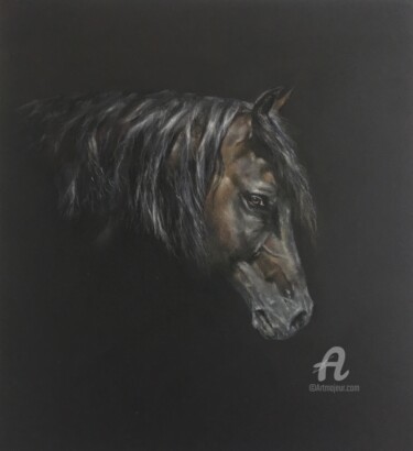 Portrait de cheval 图画 标题为“Portrait de cheval” 由Irene_art, 原创艺术品, 粉彩