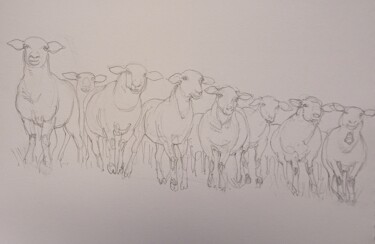 제목이 "les moutons curieux…"인 그림 Etzi로, 원작, 연필
