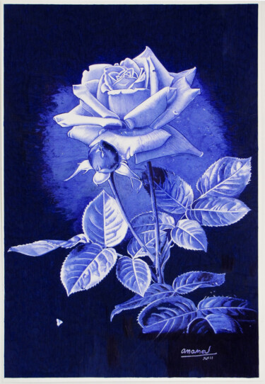 图画 标题为“Rose” 由Ananou, 原创艺术品, 圆珠笔