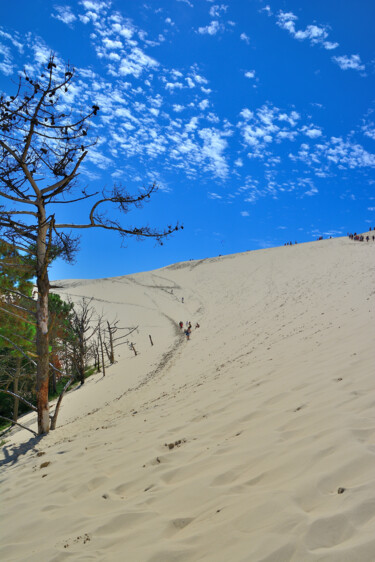 Photography titled "deserto" by Stefano Roberto Salvioli, Original Artwork, Digital Photography