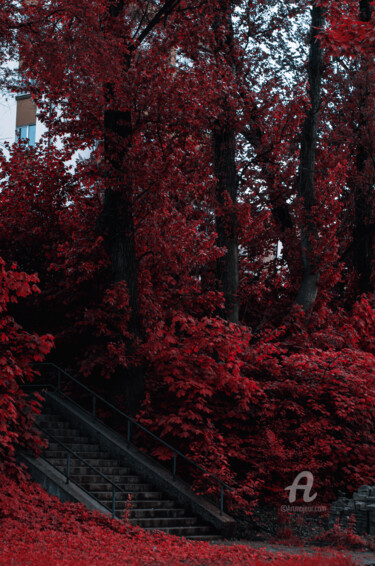 Digital Arts titled "Blood" by Oleg Andrienko, Original Artwork, Digital Photography