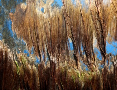 Algues sèchées.......... Photographie intitulée "Algues sèchées.....…" par Philippe Berthier, Œuvre d'art originale, Photographie numérique