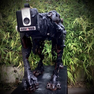 제목이 "Robot furtif Kodak"인 조형물 Emmanuel Andrieux로, 원작, 금속