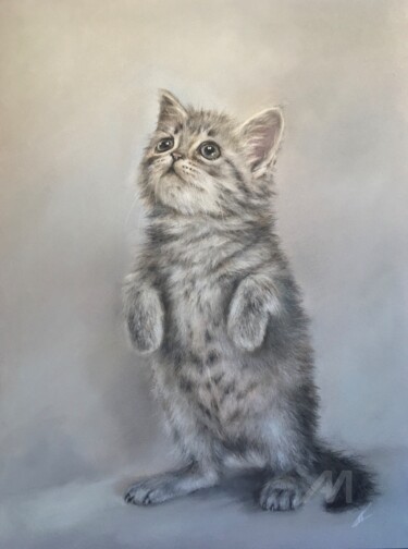 图画 标题为“Little kitten” 由Irene_art, 原创艺术品, 粉彩