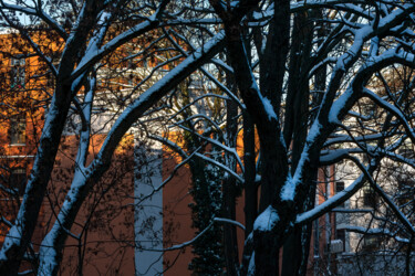 Photography titled "The second snow 2" by Jarek Rufer, Original Artwork, Digital Photography