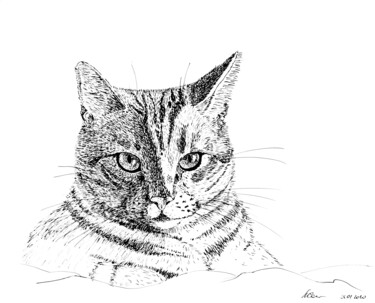 A cat with intelligent eyes - Gift for animal lovers 绘画 标题为“A cat with intellig…” 由Любовь Самойлова, 原创艺术品, 墨