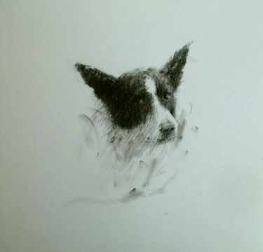 Dessin intitulée "Stray Dog" par David Beglaryan, Œuvre d'art originale, Fusain