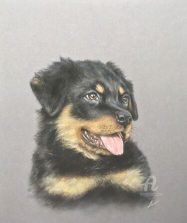 图画 标题为“Puppy portrait” 由Irene_art, 原创艺术品, 粉彩