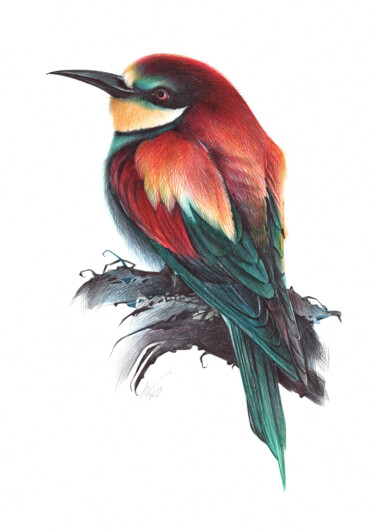 Dessin intitulée "European Bee-eater…" par Daria Maier, Œuvre d'art originale, Stylo à bille