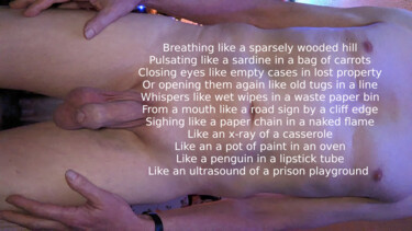 Digital Arts titled "A Poem On Its Side" by Gee Shepherd, Original Artwork, 2D Digital Work