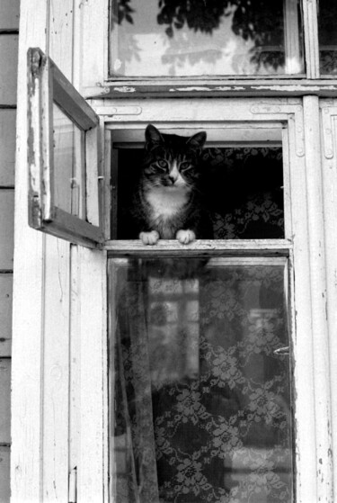 제목이 "three windows"인 사진 Magda Durda로, 원작, 조작되지 않은 사진