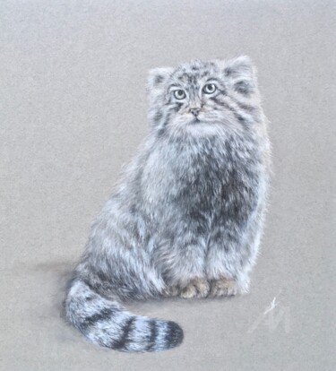 图画 标题为“Manul cat” 由Irene_art, 原创艺术品, 粉彩
