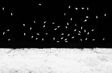 Fotografia intitolato "Balance" da Jure Kralj, Opera d'arte originale, Fotografia digitale