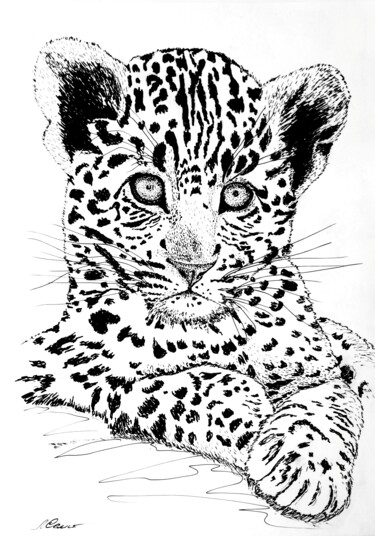 绘画 标题为“Leopard cub” 由Любовь Самойлова, 原创艺术品, 墨