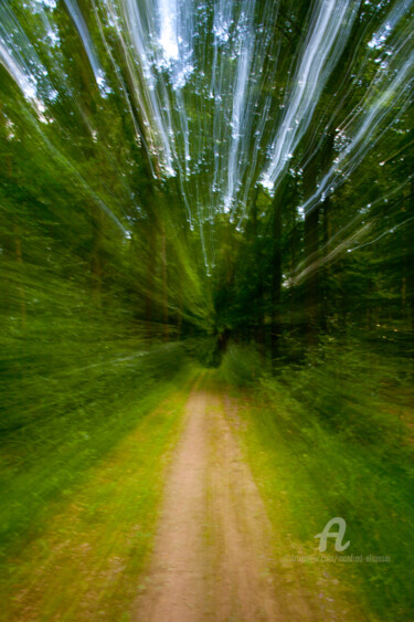Licht+Bewegung im Laubwald II Fotografie mit dem Titel "Licht+Bewegung im L…" von Manfred Elsässer, Original-Kunstwerk, Digitale Fotografie