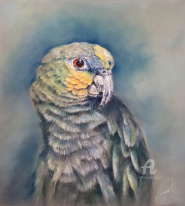 Dessin intitulée "Parrot" par Irene_art, Œuvre d'art originale, Pastel