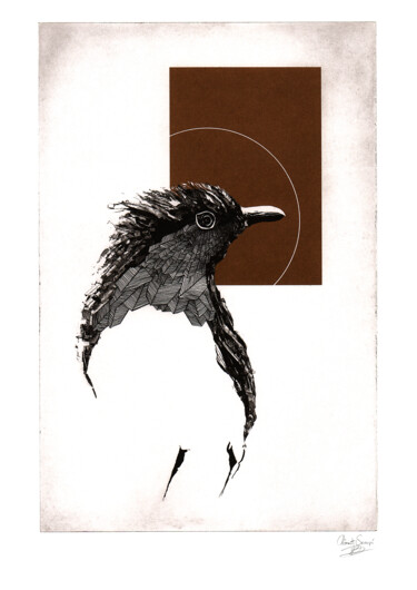 印花与版画 标题为“The Robin” 由Clement Scarpi, 原创艺术品, 雕刻