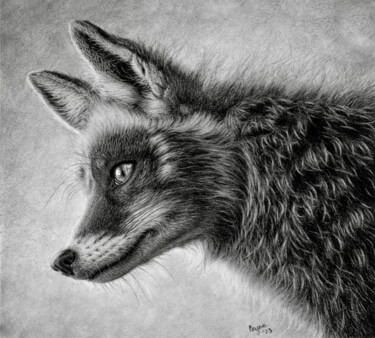 Zeichnungen mit dem Titel "Fox" von Teresa Payne Art, Original-Kunstwerk, Kohle
