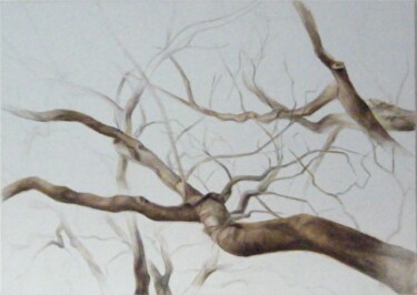 제목이 "tree6"인 미술작품 Ella Barsky로, 원작, 기름
