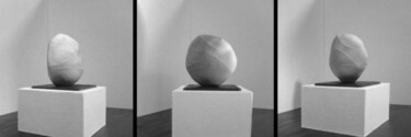 Drawing titled "palm leaf" by Anthony R A Barron, Original Artwork