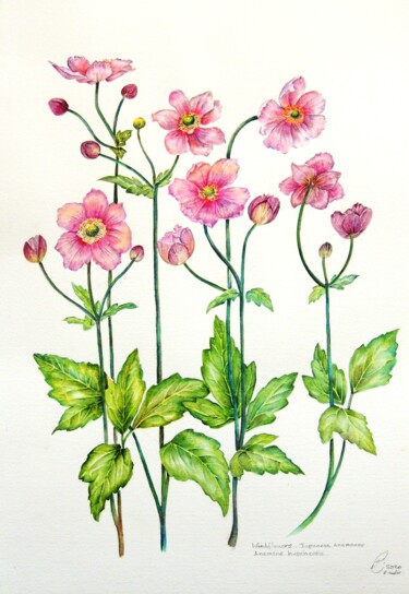 Flowers of the Wind Peinture intitulée "Flowers of the Wind" par Elizabeth Sadler, Œuvre d'art originale, Aquarelle