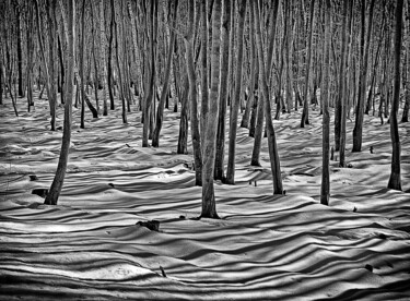 Winterwald (Prints)! Fotografia intitolato "Winterwald (Prints)!" da Leopold Brix, Opera d'arte originale, Fotografia digitale