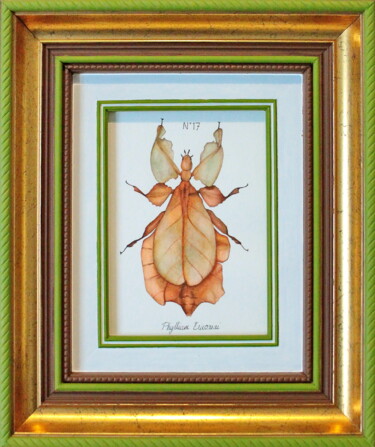 绘画 标题为“N°17_Phyllium Erico…” 由Charlène Chagnard, 原创艺术品, 水彩