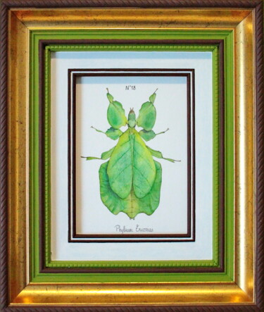 绘画 标题为“N°18_Phyllium Erico…” 由Charlène Chagnard, 原创艺术品, 水彩