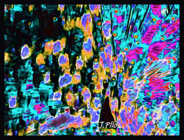 Arte digital titulada "juewa" por Joseph Pllo, Obra de arte original, Pintura Digital