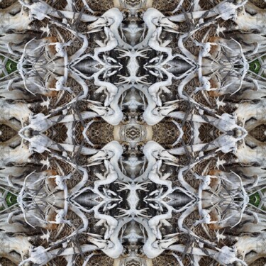 Photography titled "Cimetière des cormo…" by Jean-Thomas Bédard, Original Artwork, Manipulated Photography