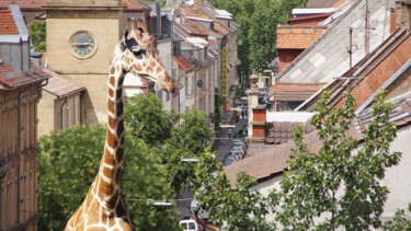 Digital Arts με τίτλο "Giraffe in der Mari…" από Georg Bischof, Αυθεντικά έργα τέχνης, Ψηφιακή εκτύπωση
