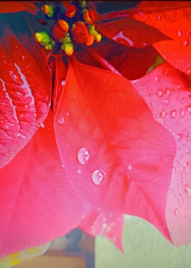 "Forme naturali nell…" başlıklı Resim Pompilio Dospina tarafından, Orijinal sanat, Suluboya