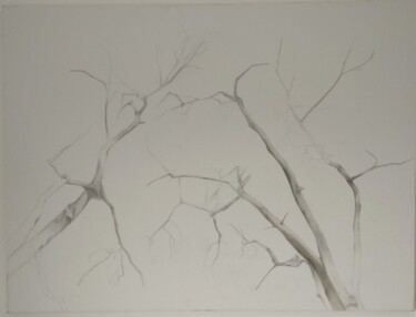 제목이 "tree20"인 미술작품 Ella Barsky로, 원작, 기름