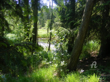 Fotografia zatytułowany „ogród błękitnych wa…” autorstwa Dar-Ja, Oryginalna praca, Fotografia cyfrowa