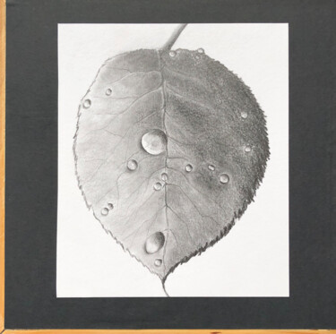Dessin intitulée "La goutte" par Valérie Blivet, Œuvre d'art originale, Crayon Monté sur Châssis en bois
