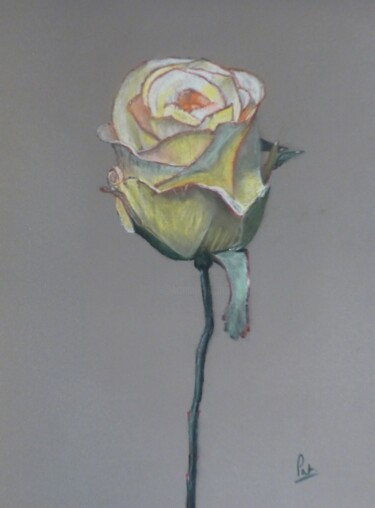 Dessin intitulée "Douceur parfumée" par Patricia De Chadois, Œuvre d'art originale, Pastel Monté sur artwork_cat.