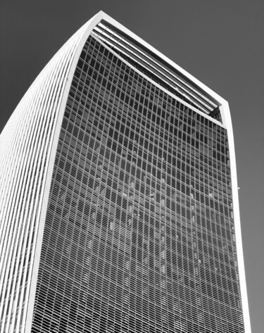 Photographie intitulée "Sky Garden" par Solveig Munier, Œuvre d'art originale, Photographie numérique Monté sur Aluminium