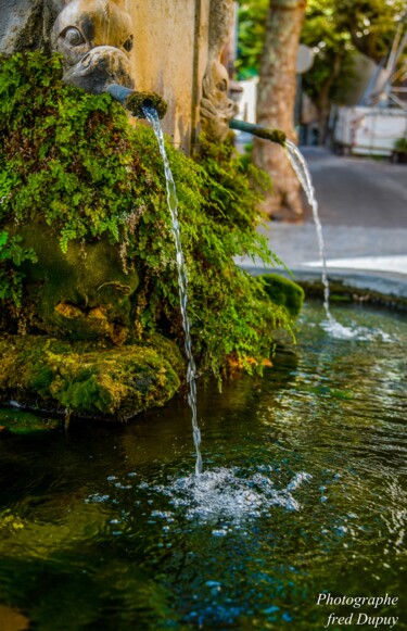 Photographie intitulée "bargemont,," par Frederic Dupuy, Œuvre d'art originale, Photographie numérique