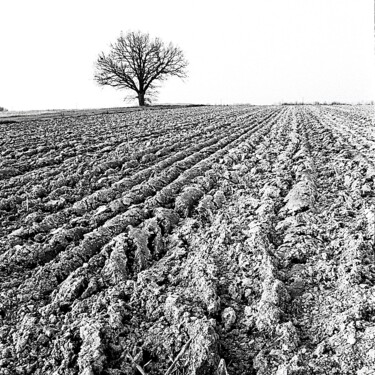 Champ labouré (la terre) (Les 4 éléments) Fotografie getiteld "Champ labouré (la t…" door Michel Akli, Origineel Kunstwerk, Digitale fotografie