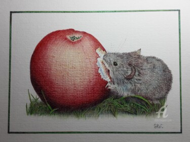 图画 标题为“Le mulot et la pomme” 由Valérie Jouffroy Ricotta, 原创艺术品, 圆珠笔