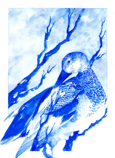 绘画 标题为“Canard Chipeau” 由Neyda Omar (Neyptune), 原创艺术品, 水彩