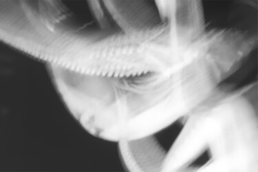 Fotografie mit dem Titel "Obedient Tradition…" von Timo Milke, Original-Kunstwerk, Digitale Fotografie